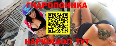 стаф Тула