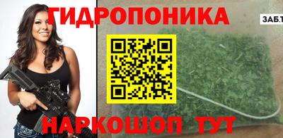 стаф Тула
