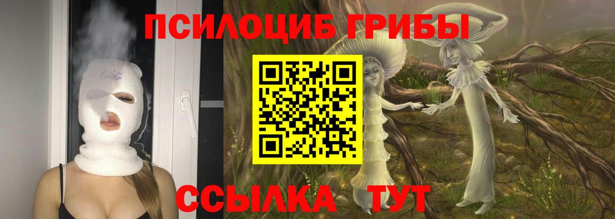 Псилоцибиновые грибы ЛСД Братск